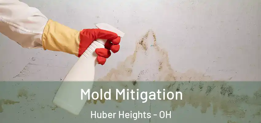  Mold Mitigation Huber Heights - OH