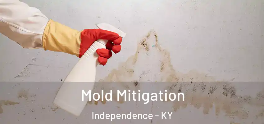 Mold Mitigation Independence - KY