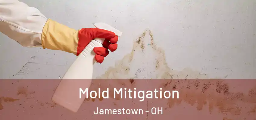 Mold Mitigation Jamestown - OH
