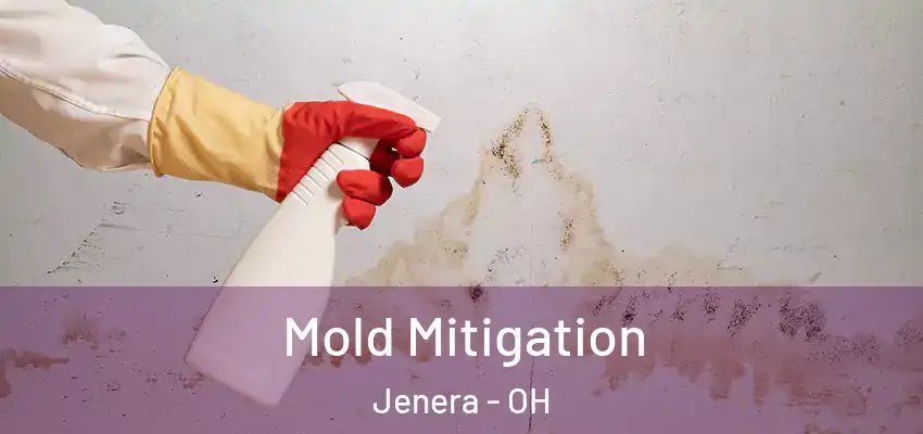 Mold Mitigation Jenera - OH