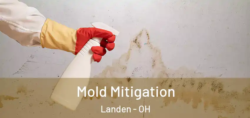  Mold Mitigation Landen - OH