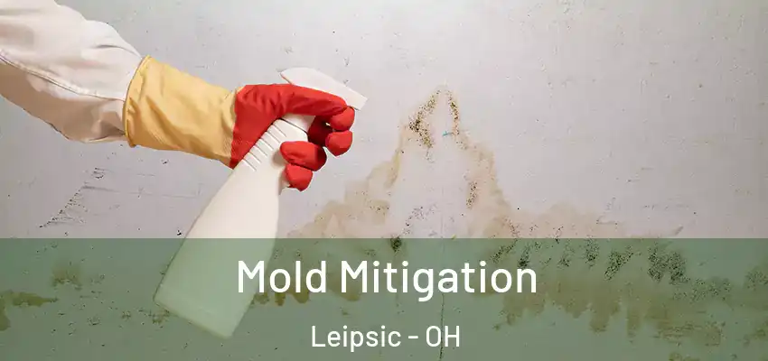 Mold Mitigation Leipsic - OH