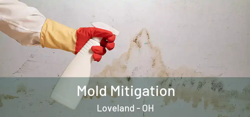 Mold Mitigation Loveland - OH