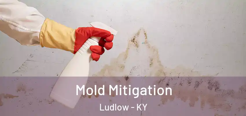 Mold Mitigation Ludlow - KY