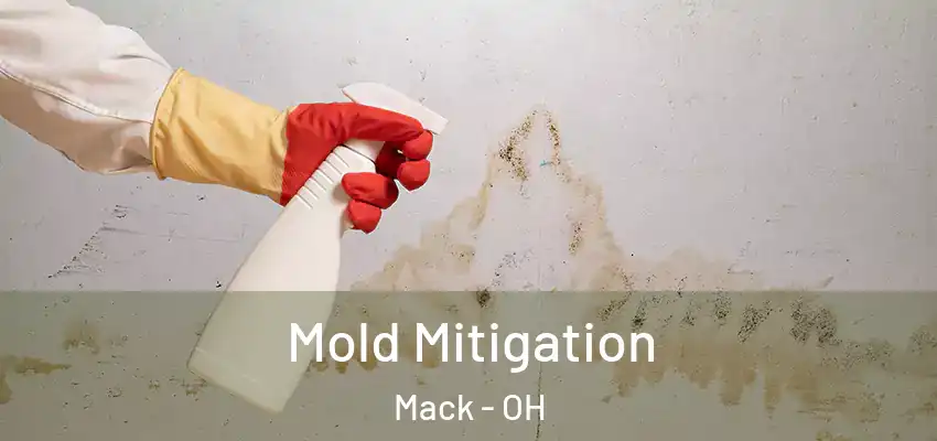 Mold Mitigation Mack - OH
