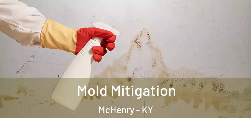 Mold Mitigation McHenry - KY