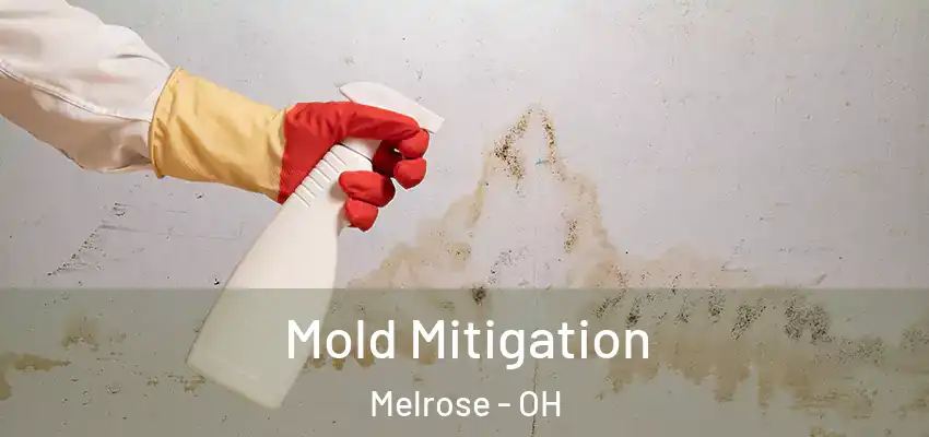 Mold Mitigation Melrose - OH