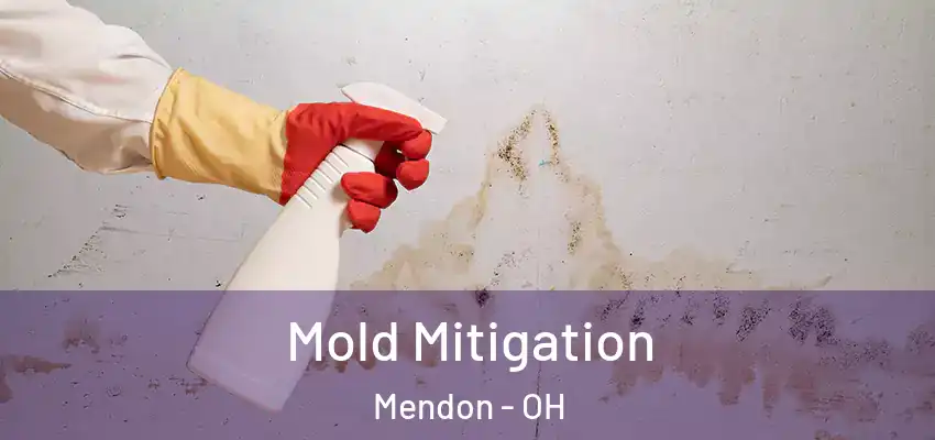 Mold Mitigation Mendon - OH