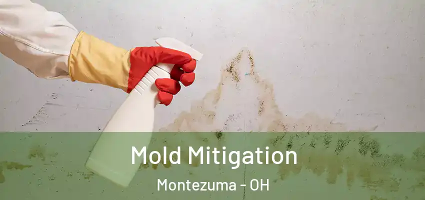 Mold Mitigation Montezuma - OH