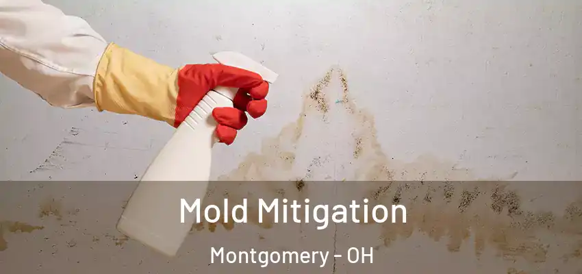 Mold Mitigation Montgomery - OH