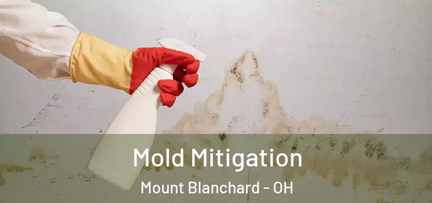 Mold Mitigation Mount Blanchard - OH