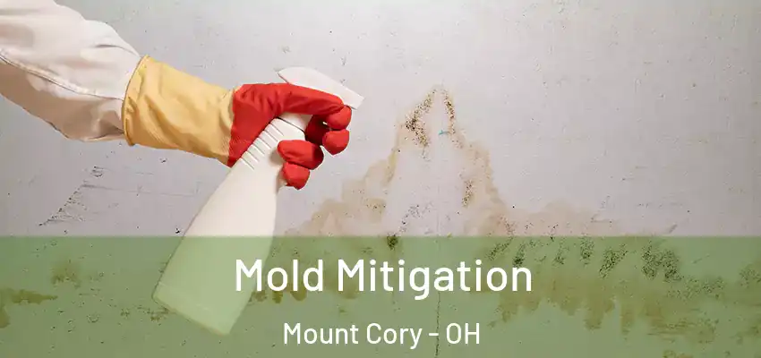 Mold Mitigation Mount Cory - OH