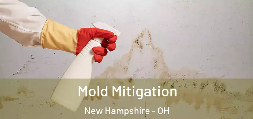 Mold Mitigation New Hampshire - OH