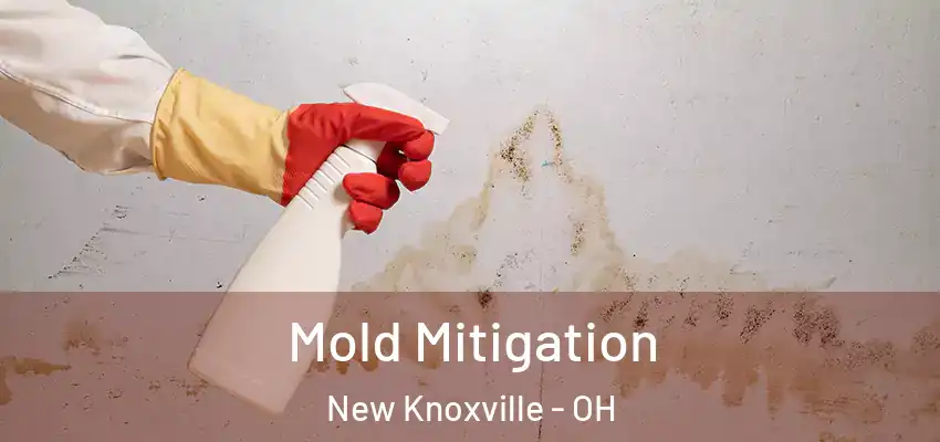 Mold Mitigation New Knoxville - OH