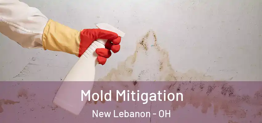 Mold Mitigation New Lebanon - OH