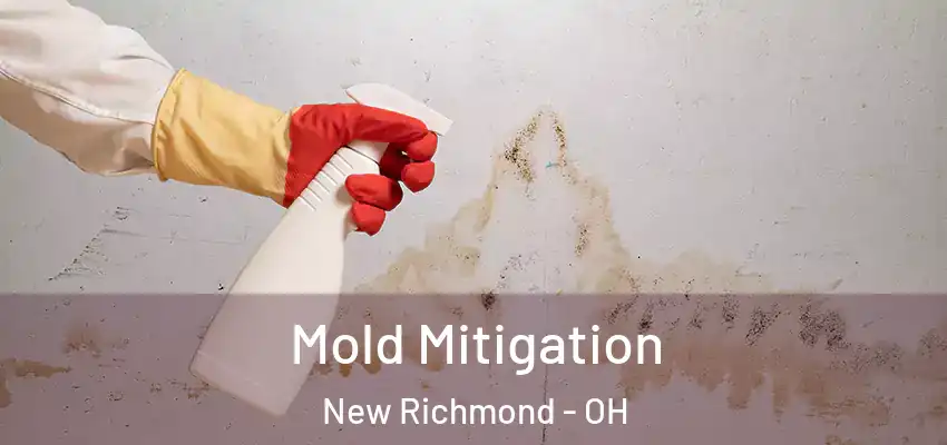  Mold Mitigation New Richmond - OH