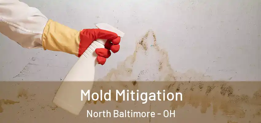 Mold Mitigation North Baltimore - OH