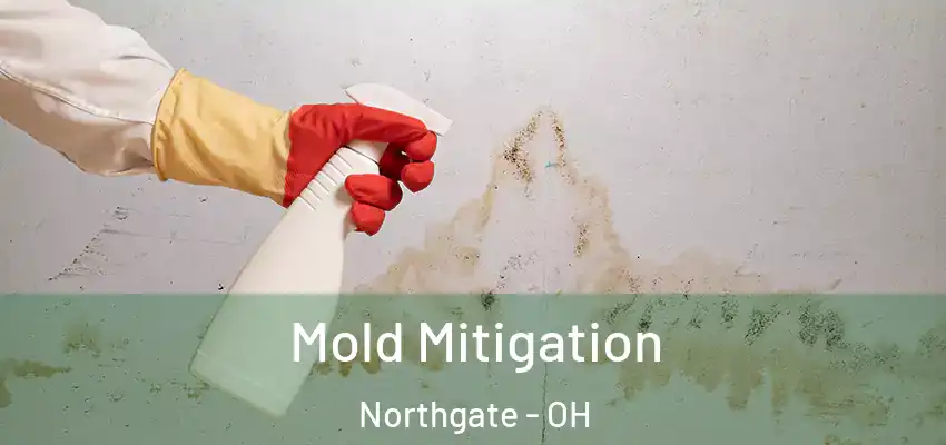 Mold Mitigation Northgate - OH