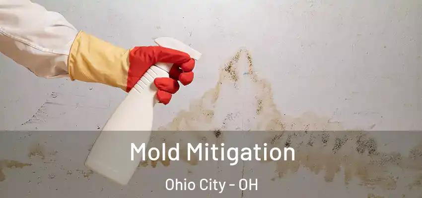 Mold Mitigation Ohio City - OH