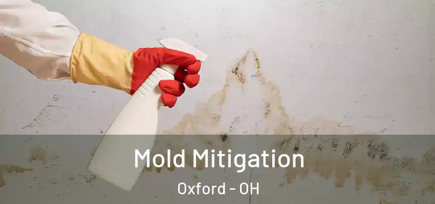  Mold Mitigation Oxford - OH