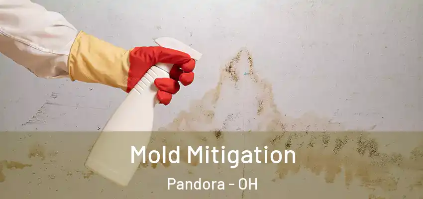 Mold Mitigation Pandora - OH