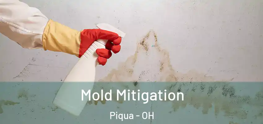Mold Mitigation Piqua - OH