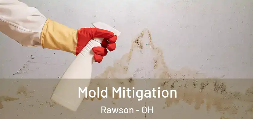 Mold Mitigation Rawson - OH