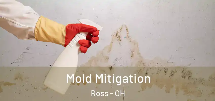 Mold Mitigation Ross - OH