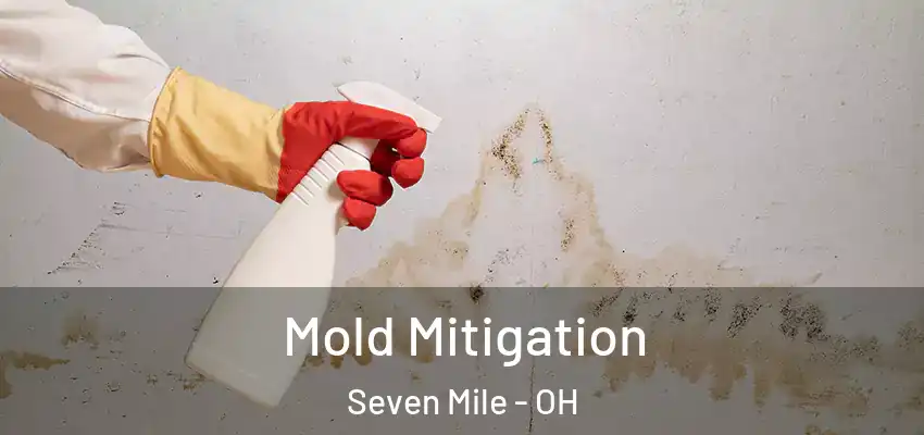 Mold Mitigation Seven Mile - OH