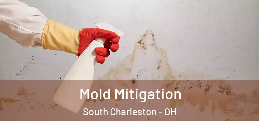 Mold Mitigation South Charleston - OH