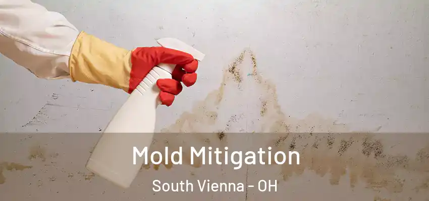  Mold Mitigation South Vienna - OH