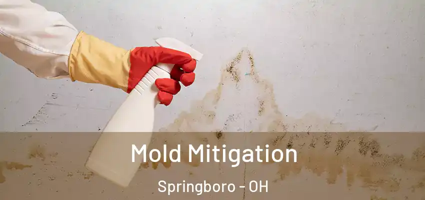 Mold Mitigation Springboro - OH