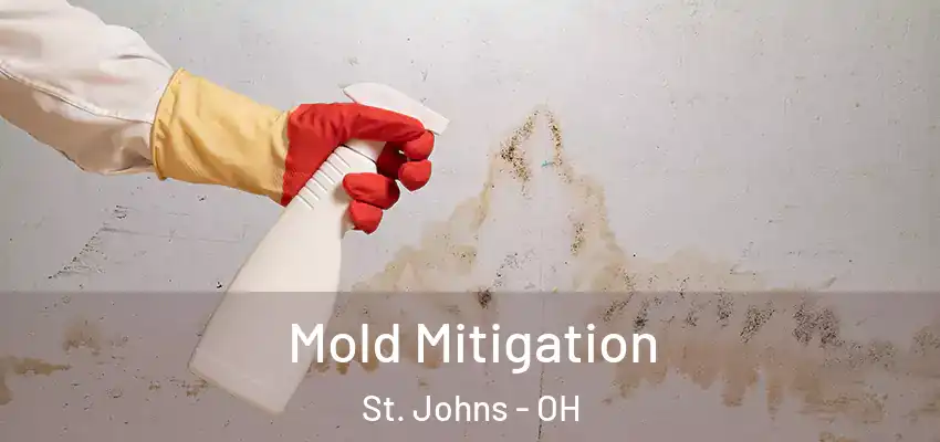 Mold Mitigation St. Johns - OH