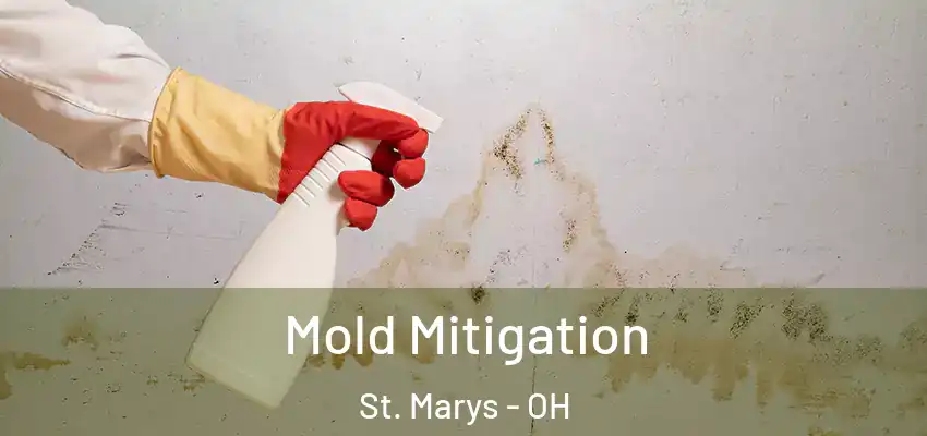Mold Mitigation St. Marys - OH