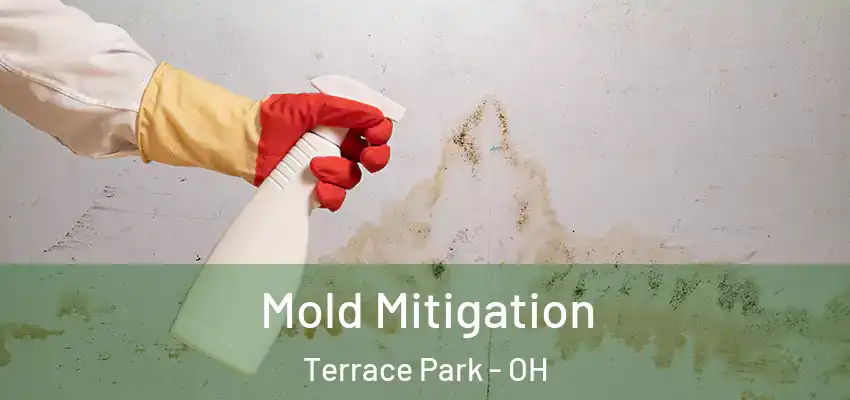  Mold Mitigation Terrace Park - OH