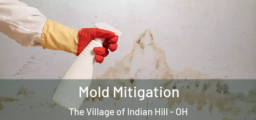 Mold Mitigation The Village of Indian Hill - OH