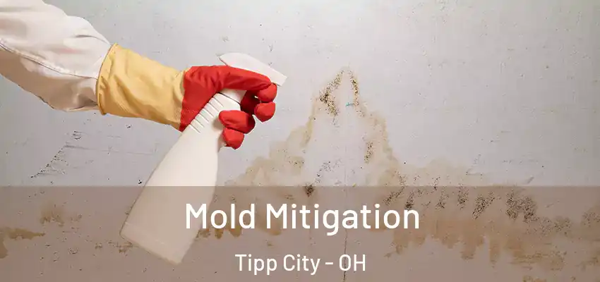 Mold Mitigation Tipp City - OH