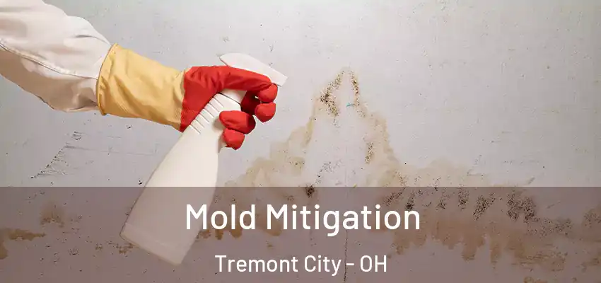  Mold Mitigation Tremont City - OH