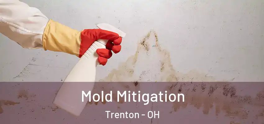 Mold Mitigation Trenton - OH