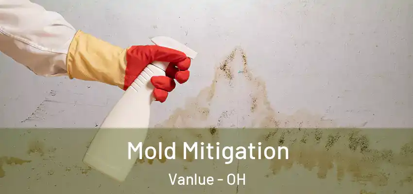 Mold Mitigation Vanlue - OH