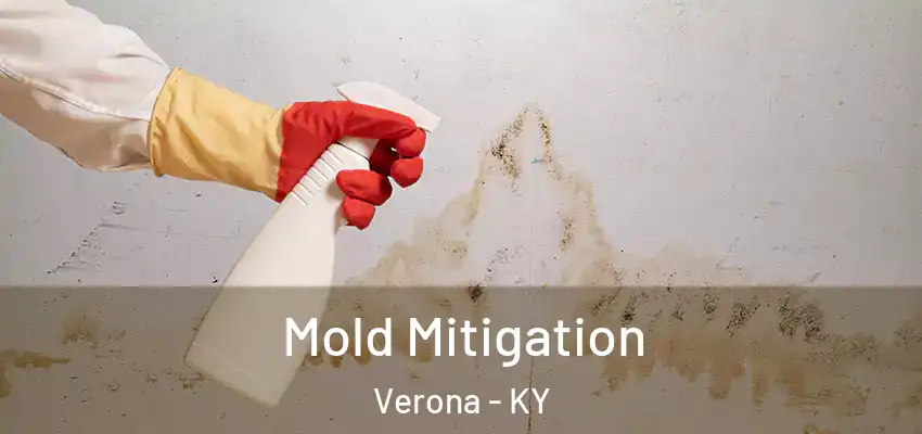  Mold Mitigation Verona - KY