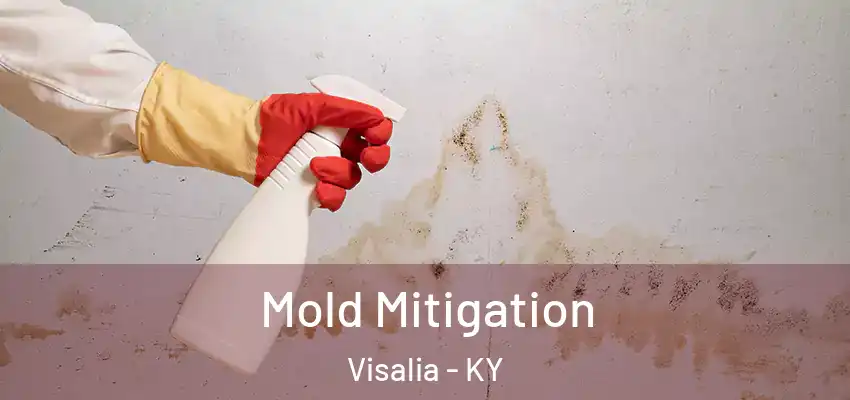 Mold Mitigation Visalia - KY
