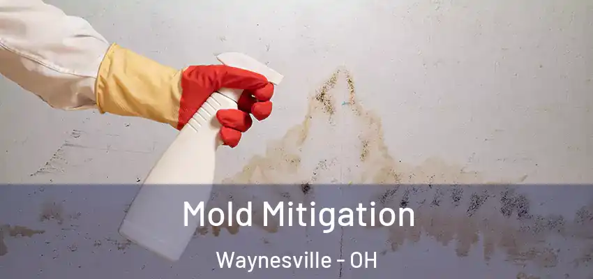 Mold Mitigation Waynesville - OH