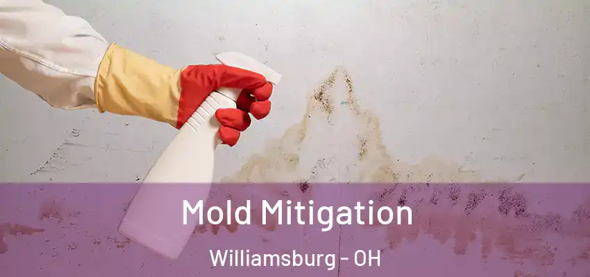 Mold Mitigation Williamsburg - OH