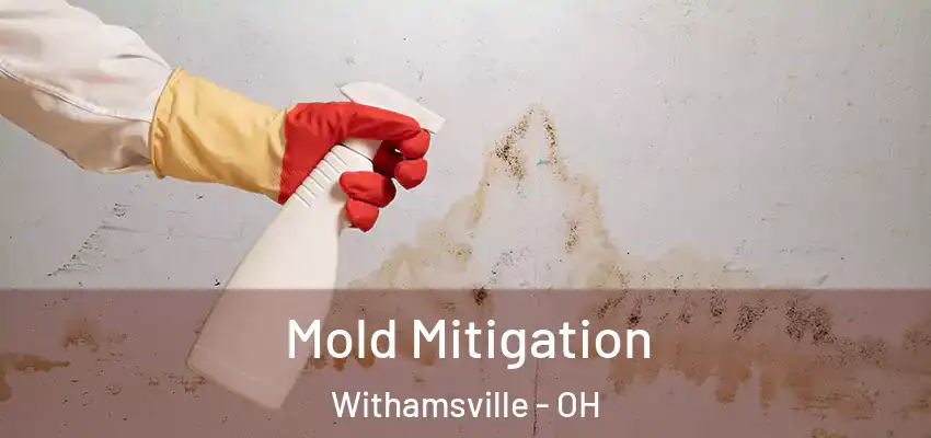 Mold Mitigation Withamsville - OH