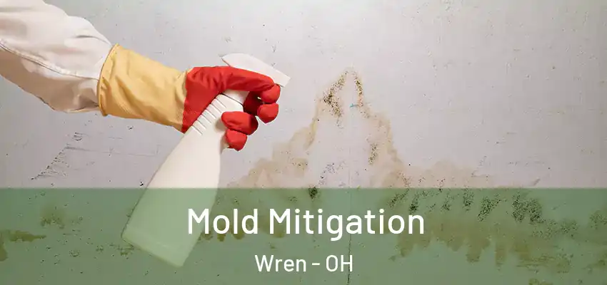 Mold Mitigation Wren - OH
