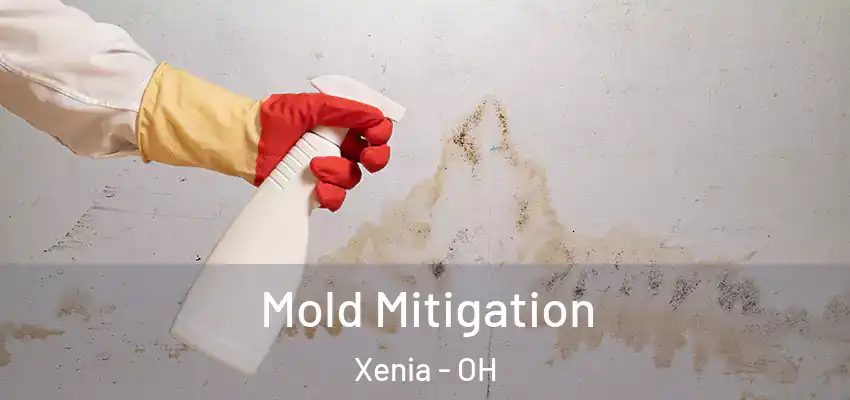  Mold Mitigation Xenia - OH