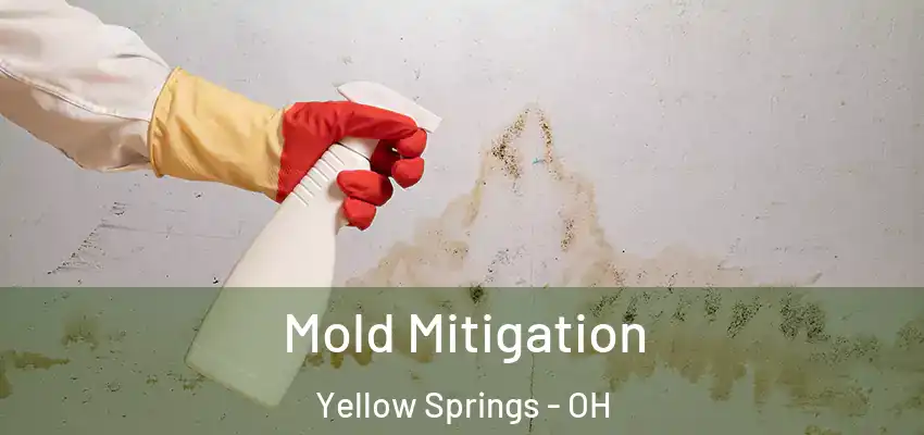  Mold Mitigation Yellow Springs - OH