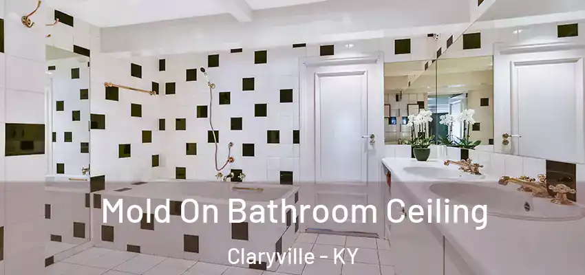 Mold On Bathroom Ceiling Claryville - KY
