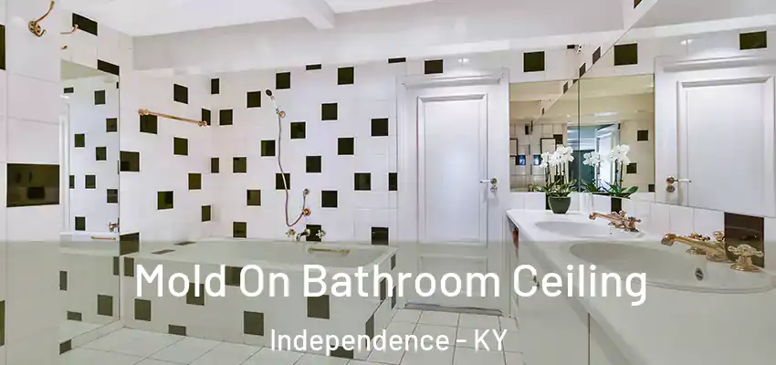 Mold On Bathroom Ceiling Independence - KY